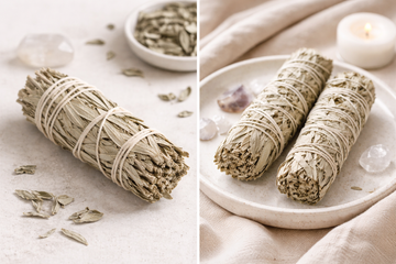 INDIAN SAGE CLEANSING HERB